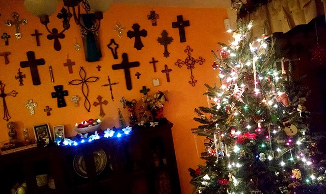 Cuidar un árbol de Navidad vivo