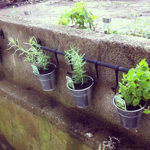 Cómo iniciar un jardín de hierbas:una guía para principiantes