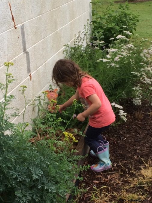 Cómo iniciar un jardín de hierbas:una guía para principiantes
