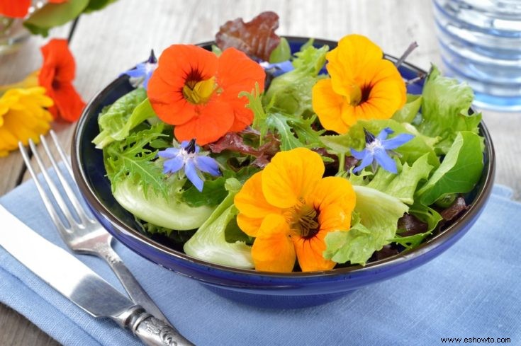 Todo lo que necesitas saber sobre flores y plantas comestibles