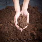 Propagación de esquejes de madera blanda:cómo crear hermosas flores