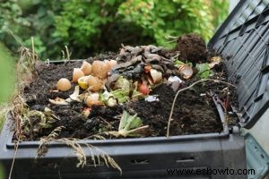 Abono vs fertilizante:¿Qué opción para las mejores plantas?