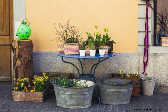 Cómo proteger sus plantas este invierno