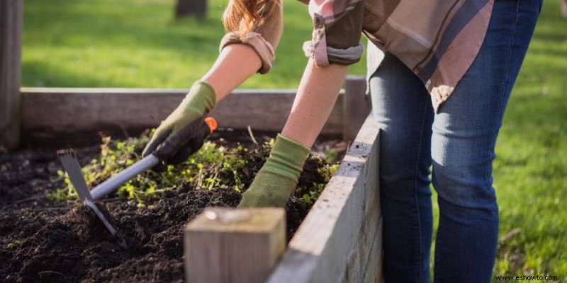 Las mejores herramientas para desherbar:5 formas de ayudar a erradicar la vegetación no deseada