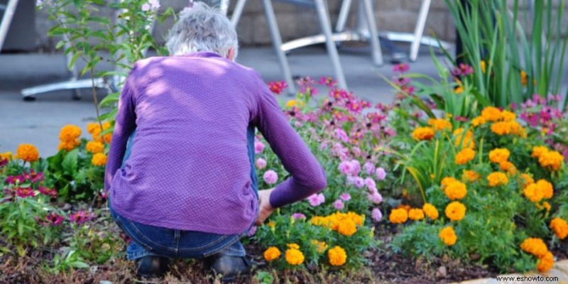 Las mejores herramientas para desherbar:5 formas de ayudar a erradicar la vegetación no deseada