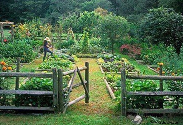 Horticultura para principiantes:comience de manera simple para obtener los mejores resultados