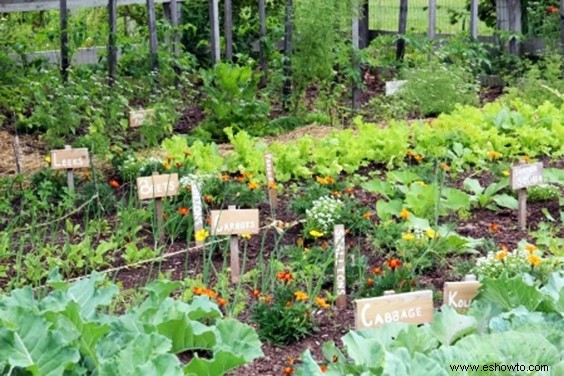 Horticultura para principiantes:comience de manera simple para obtener los mejores resultados