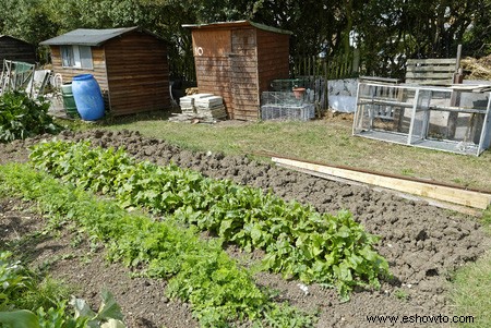 Horticultura para principiantes:comience de manera simple para obtener los mejores resultados