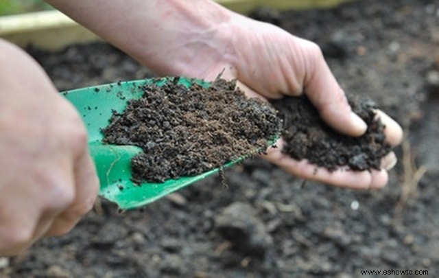 Horticultura para principiantes:comience de manera simple para obtener los mejores resultados