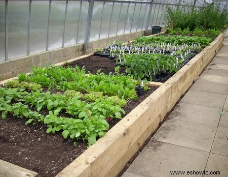 Horticultura para principiantes:comience de manera simple para obtener los mejores resultados