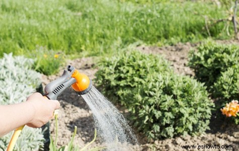 Horticultura para principiantes:comience de manera simple para obtener los mejores resultados