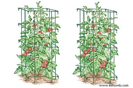 Horticultura para principiantes:comience de manera simple para obtener los mejores resultados