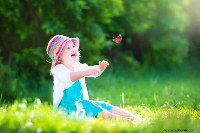 Atraer mariposas:las mejores flores para el hábitat de las mariposas