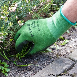 Los 5 mejores guantes de jardinería para todas sus necesidades de jardinería