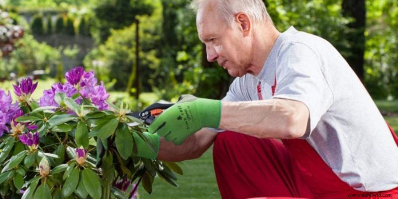 Los 5 mejores guantes de jardinería para todas sus necesidades de jardinería