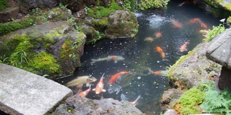 11 ideas para un jardín zen pequeño en el patio trasero