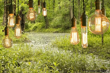 Todo lo que necesitas saber sobre el cultivo de plantas bajo luces