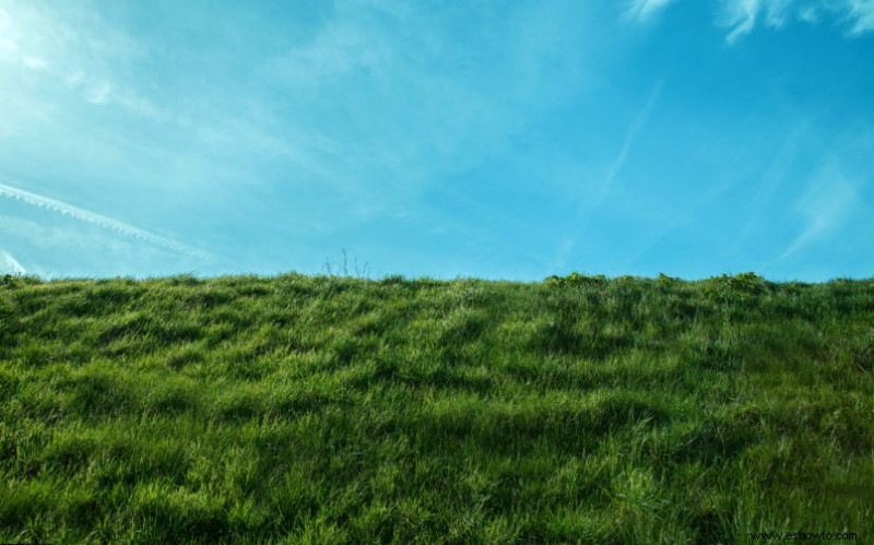 ¿Germinará la semilla de hierba sobre la tierra