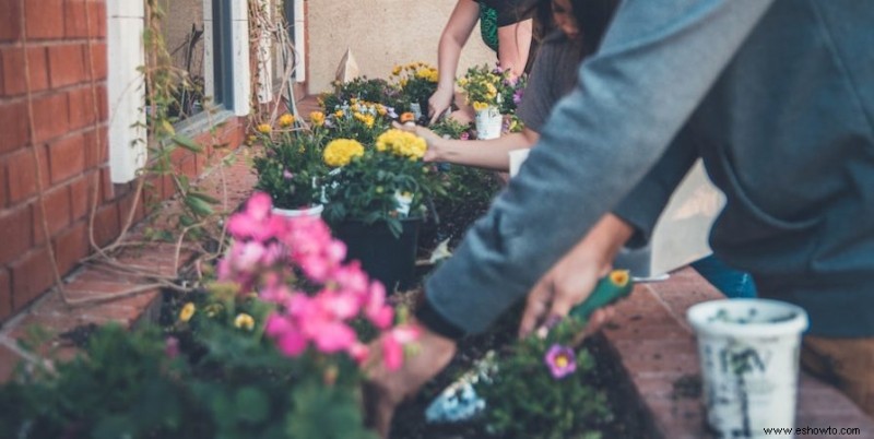 Cómo iniciar un jardín sin cavar