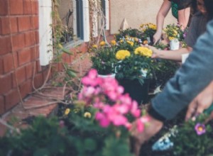 Cómo iniciar un jardín sin cavar