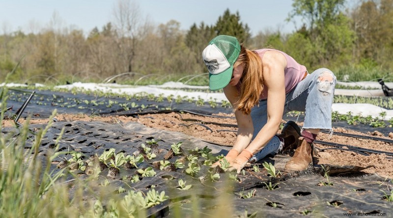 El mejor banco de rodillas para jardinería del 2021