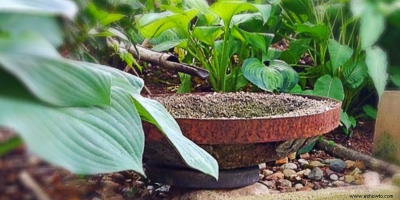 Cómo hacer un jardín zen en el patio trasero con poco presupuesto