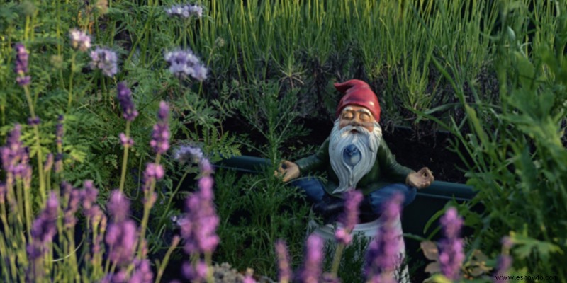 ¿Cuál es la historia de los gnomos de jardín?