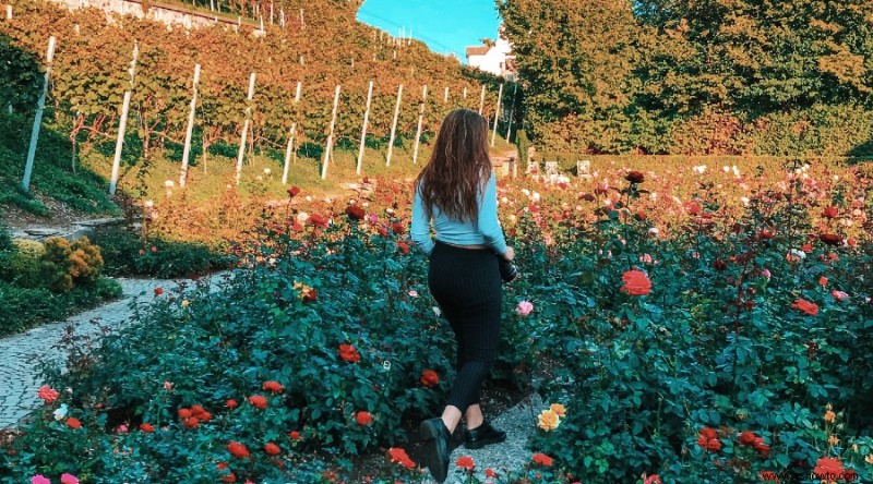 12 hermosas y llamativas ideas para el jardín de rosas