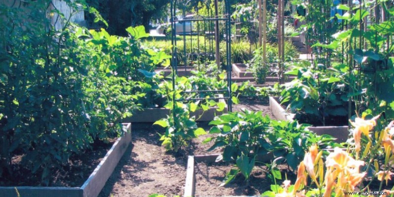 ¿Son realmente ilegales los huertos de jardín delantero?