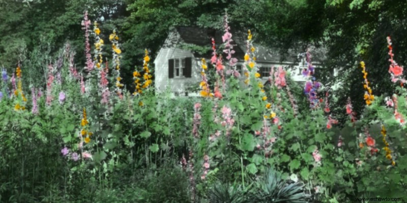 ¿Son realmente ilegales los huertos de jardín delantero?