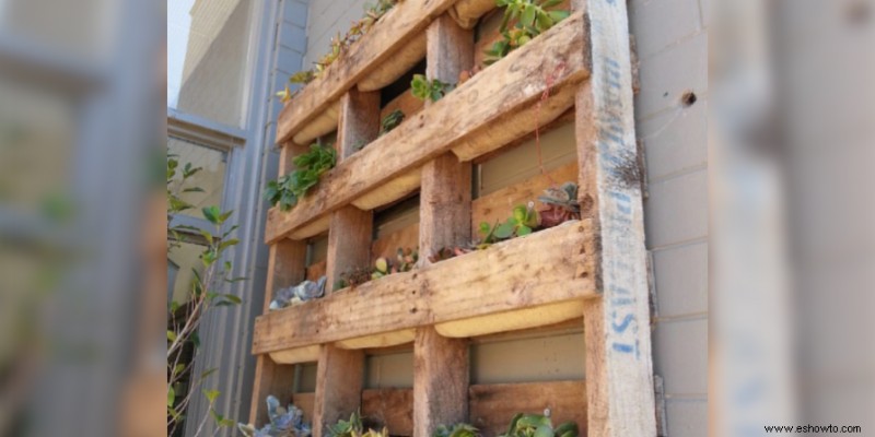 Cómo construir un jardín vertical con paletas