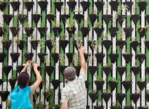 Ventajas y Desventajas de la Jardinería Vertical: Guía Experta para Principiantes