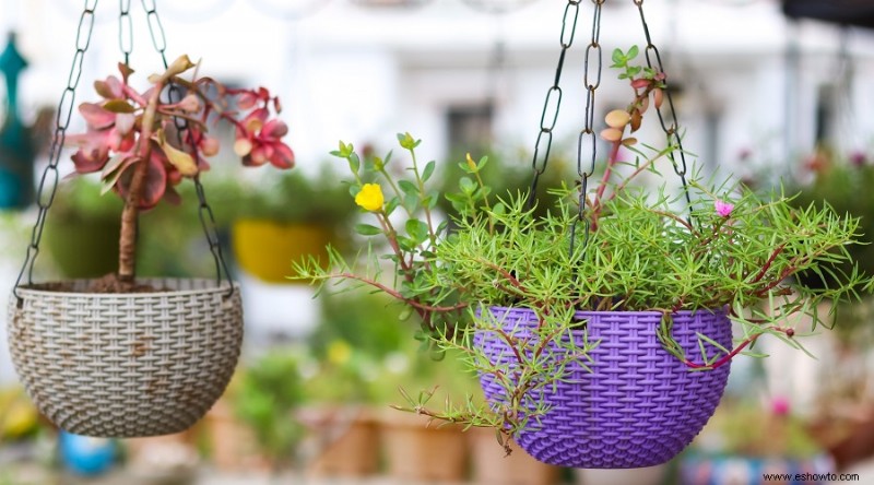 Por qué mi balcón merece un jardín vertical