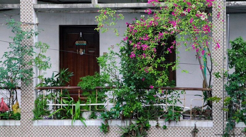 Por qué mi balcón merece un jardín vertical