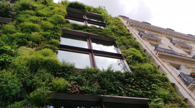 Jardines verticales:¿una solución a la contaminación?