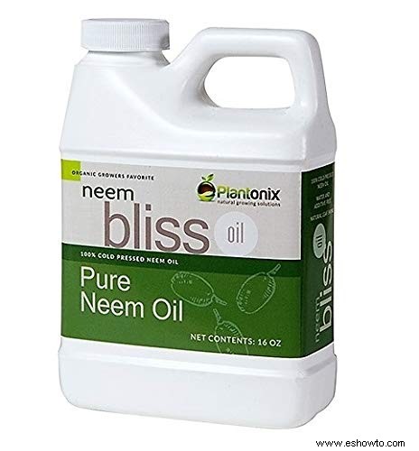El mejor aceite de neem para plantas