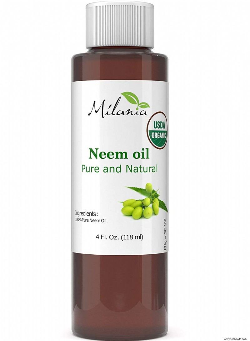 El mejor aceite de neem para plantas