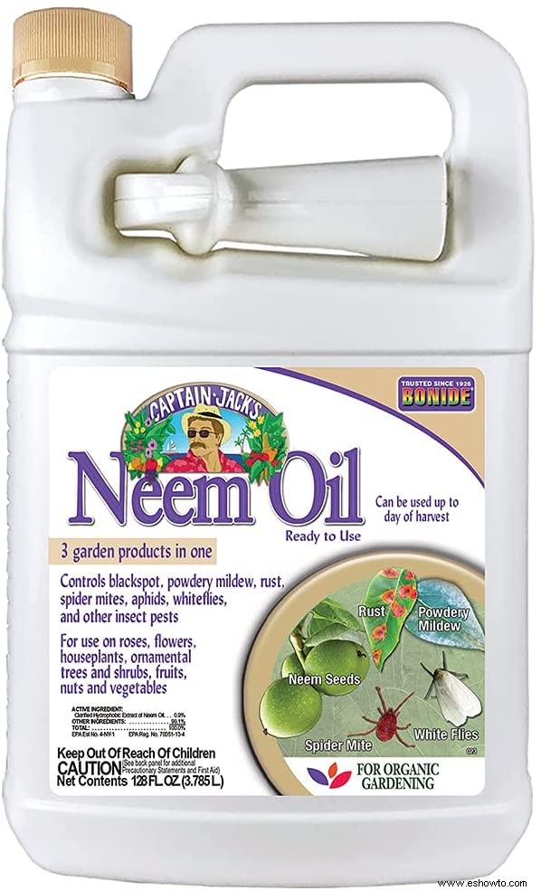 El mejor aceite de neem para plantas