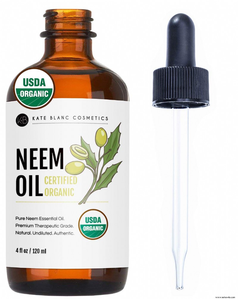 El mejor aceite de neem para plantas