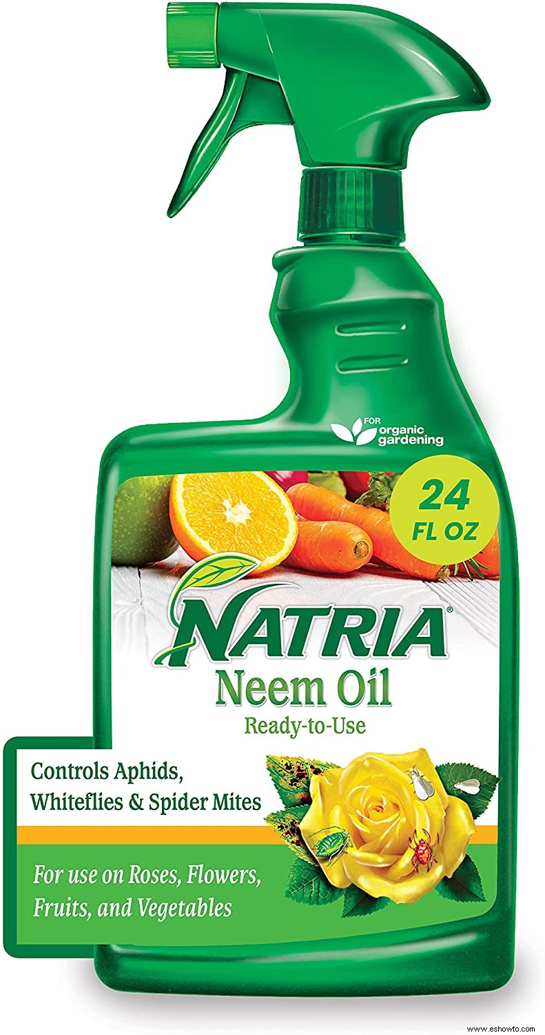 El mejor aceite de neem para plantas