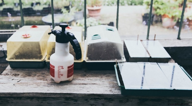 El mejor aceite de neem para plantas