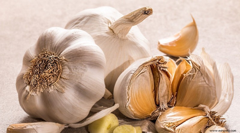 Las mejores verduras y hierbas para cultivar este invierno