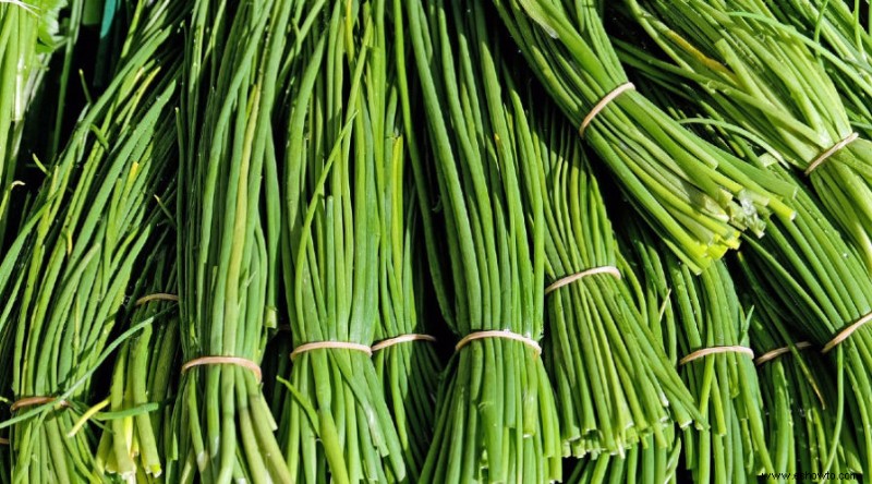 Las mejores verduras y hierbas para cultivar este invierno