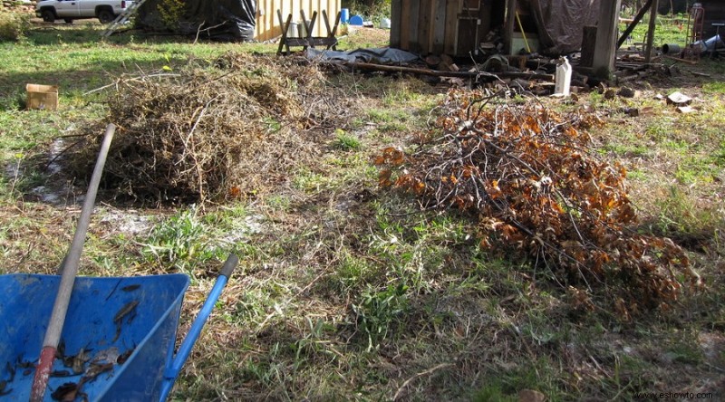 Mulching invernal:qué es y por qué debería hacerlo