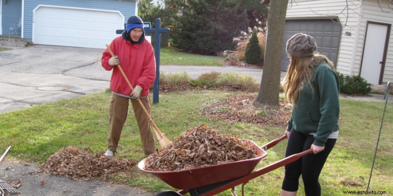 Cómo preparar el césped y el jardín para el otoño