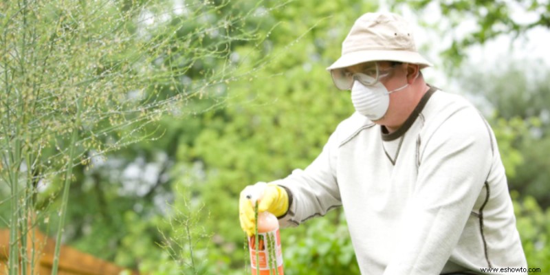 Cómo preparar el césped y el jardín para el otoño