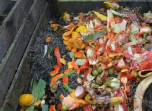 Beneficios del Compostaje para el Jardín: Mejora Natural del Suelo