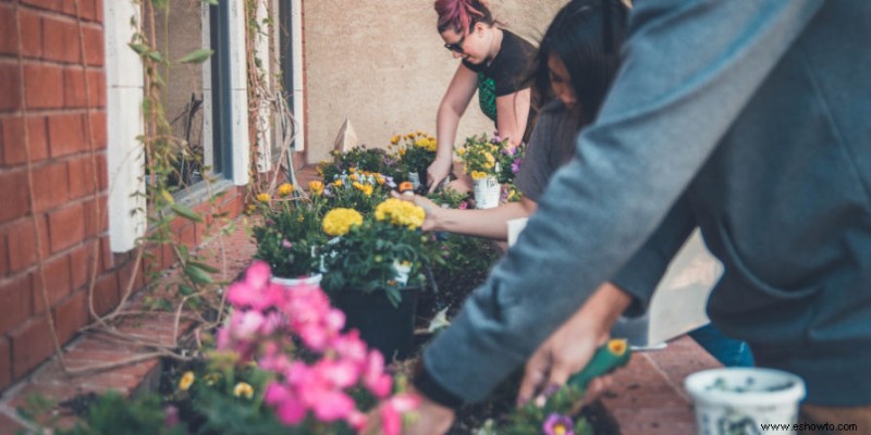 Beneficios del compostaje para su jardín