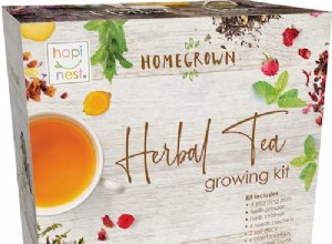 Los mejores kits básicos para iniciar un jardín interior en 2024