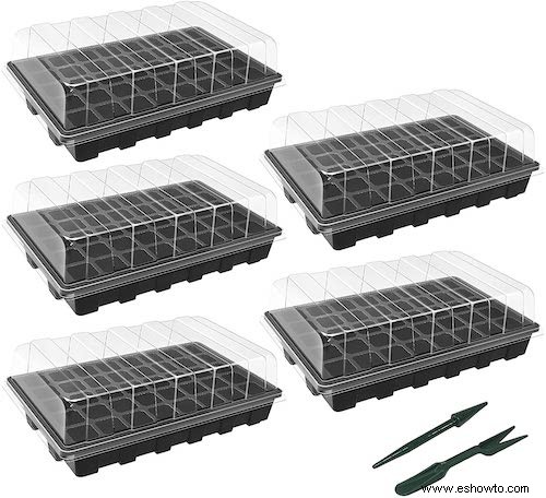 El mejor kit básico para jardines de interior en 2021